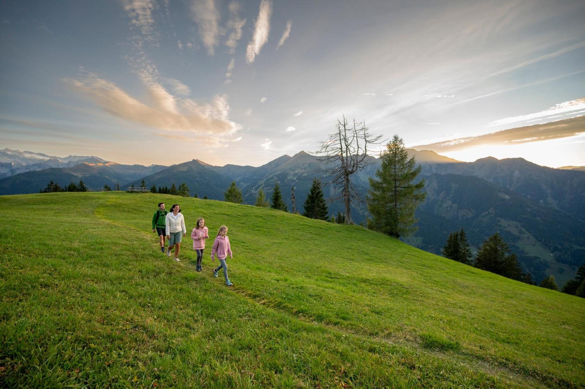 Wallnerhof 格罗萨尔 外观 照片