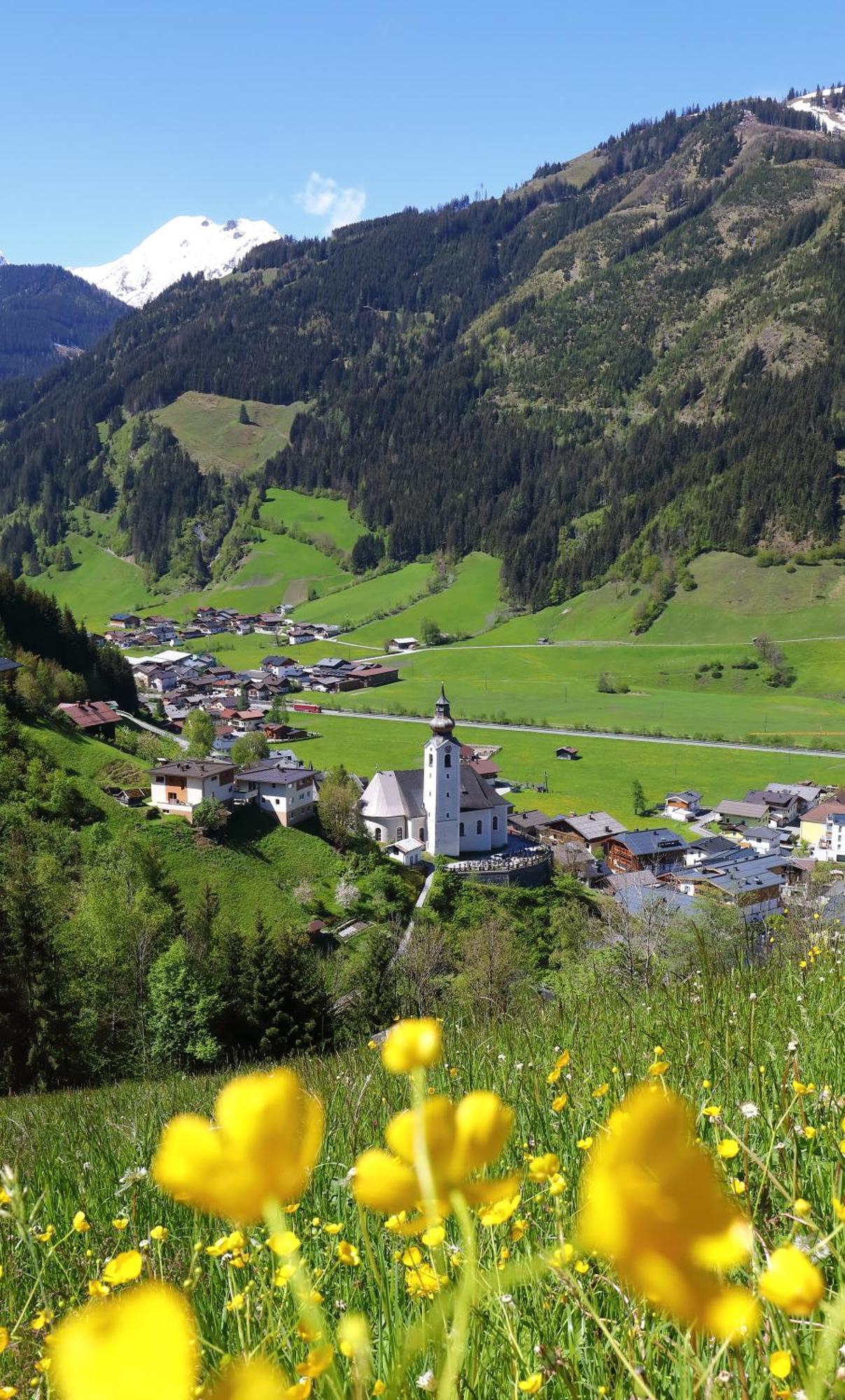 Wallnerhof 格罗萨尔 外观 照片